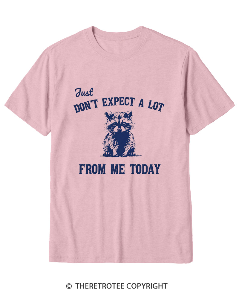 TheRetroTee Don't Expect A Lot From Me Today Cotton T-Shirt