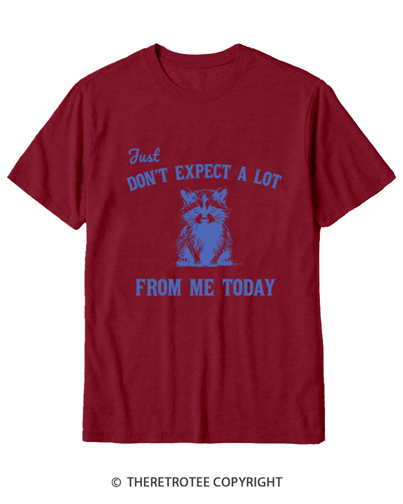 TheRetroTee Don't Expect A Lot From Me Today Cotton T-Shirt