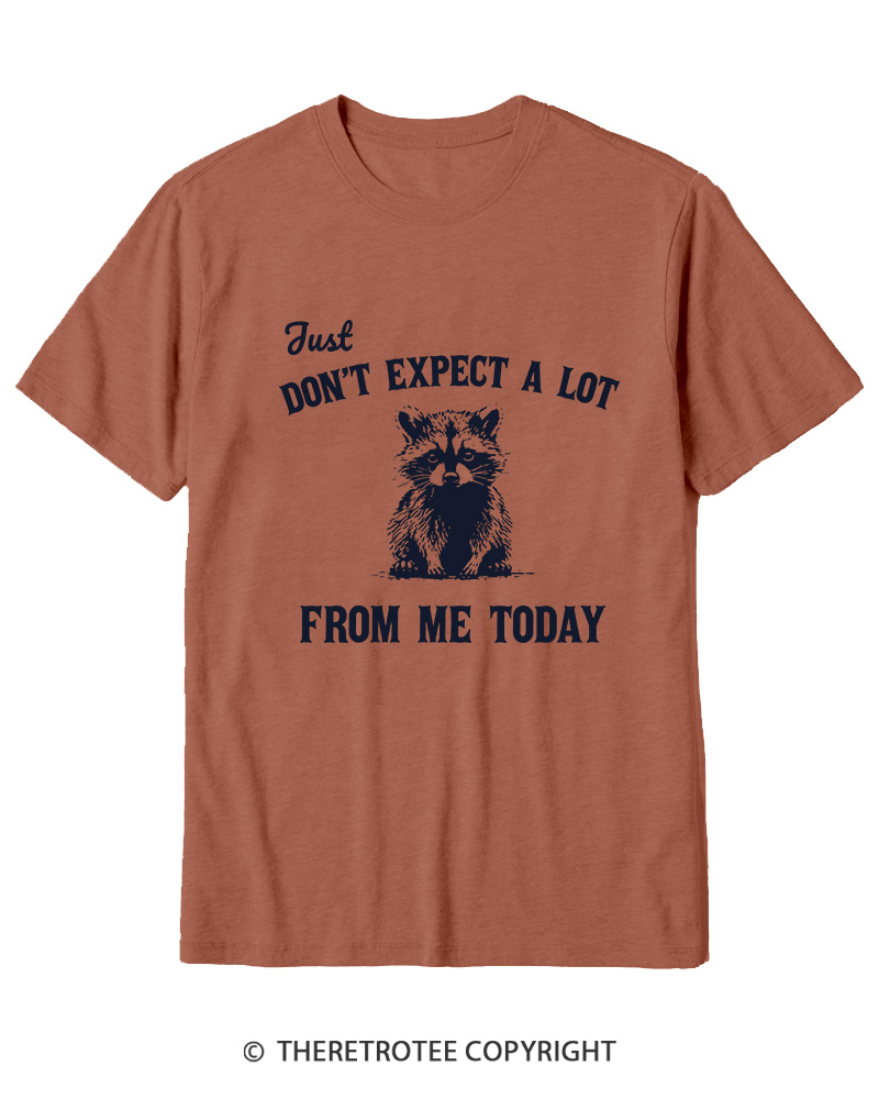 TheRetroTee Don't Expect A Lot From Me Today Cotton T-Shirt