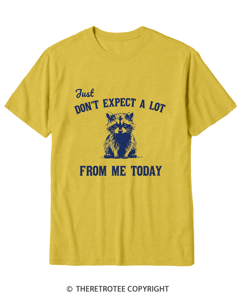 TheRetroTee Don't Expect A Lot From Me Today Cotton T-Shirt