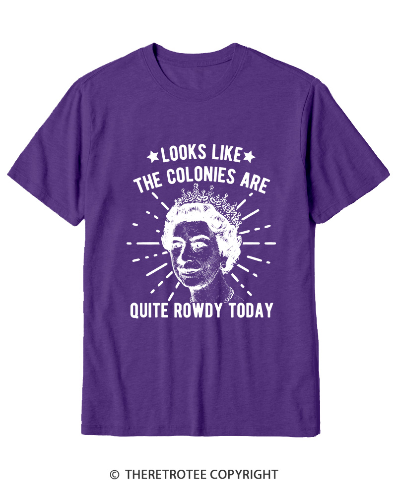 TheRetroTee Looks Like The Colonies Are Quite Rowdy Today Cotton T-Shirt