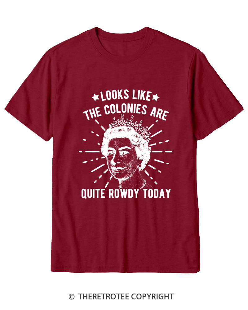TheRetroTee Looks Like The Colonies Are Quite Rowdy Today Cotton T-Shirt