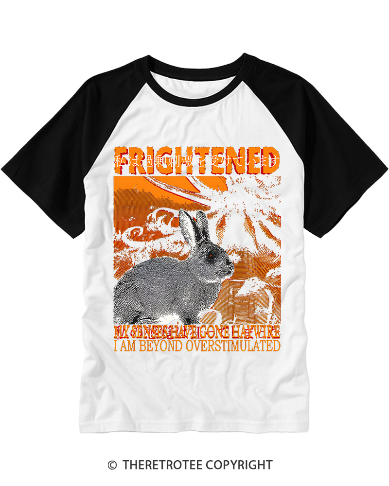 TheRetroTee Frightened Rabbit Vintage Graphic Raglan Baseball T-Shirt