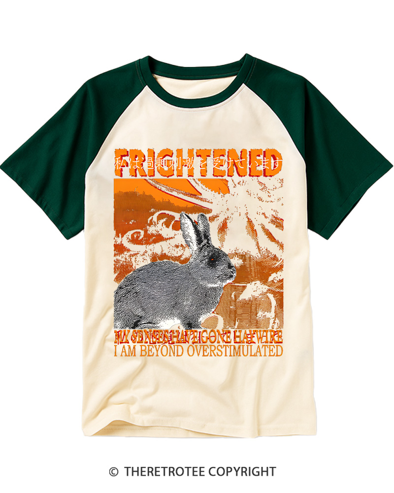 TheRetroTee Frightened Rabbit Vintage Graphic Raglan Baseball T-Shirt