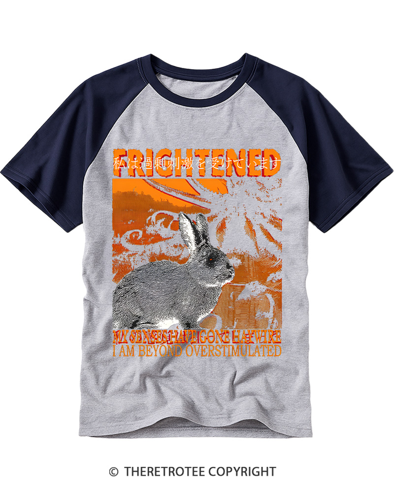 TheRetroTee Frightened Rabbit Vintage Graphic Raglan Baseball T-Shirt