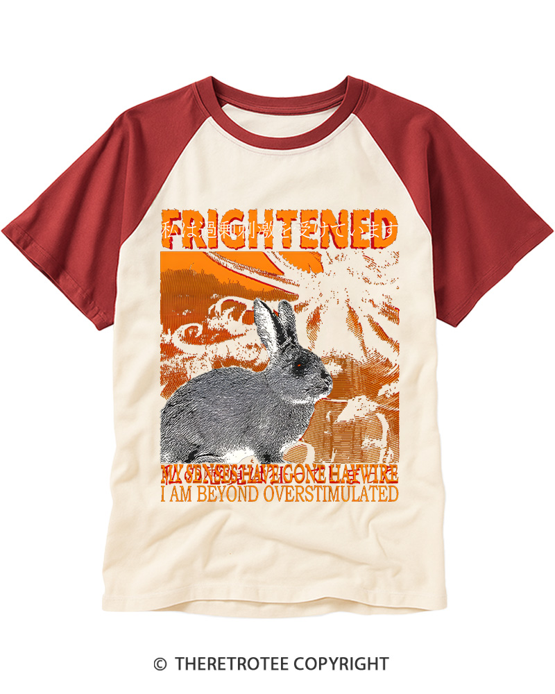TheRetroTee Frightened Rabbit Vintage Graphic Raglan Baseball T-Shirt