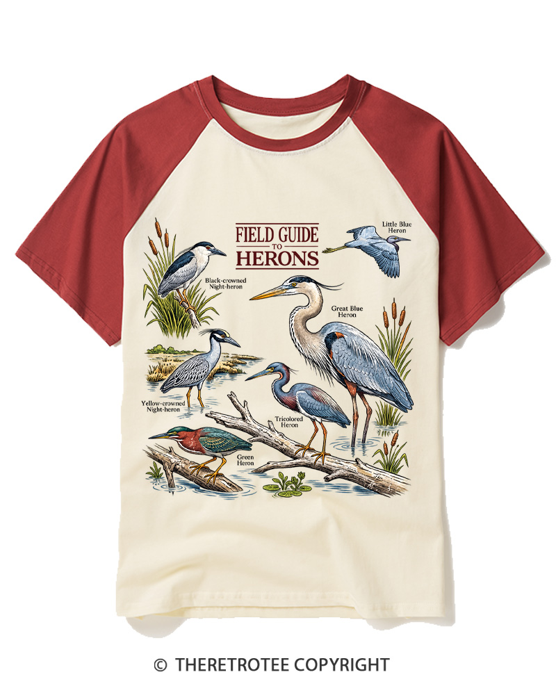 TheRetroTee Ivory Birdwatching Graphic 1990s Raglan Baseball T-Shirt
