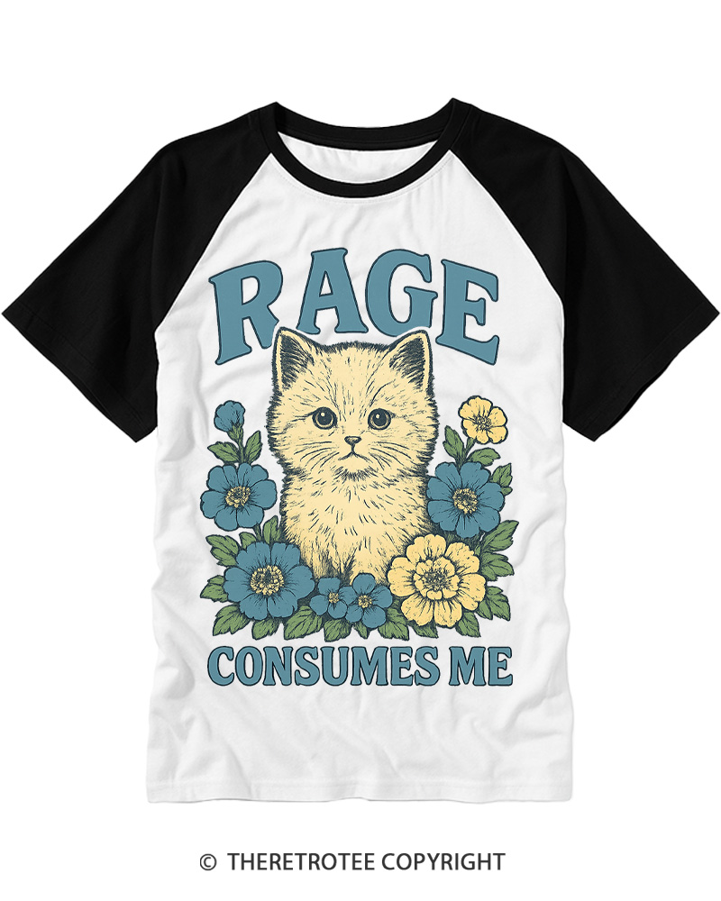 TheRetroTee Cat Meme 1970s Raglan Baseball T-Shirt