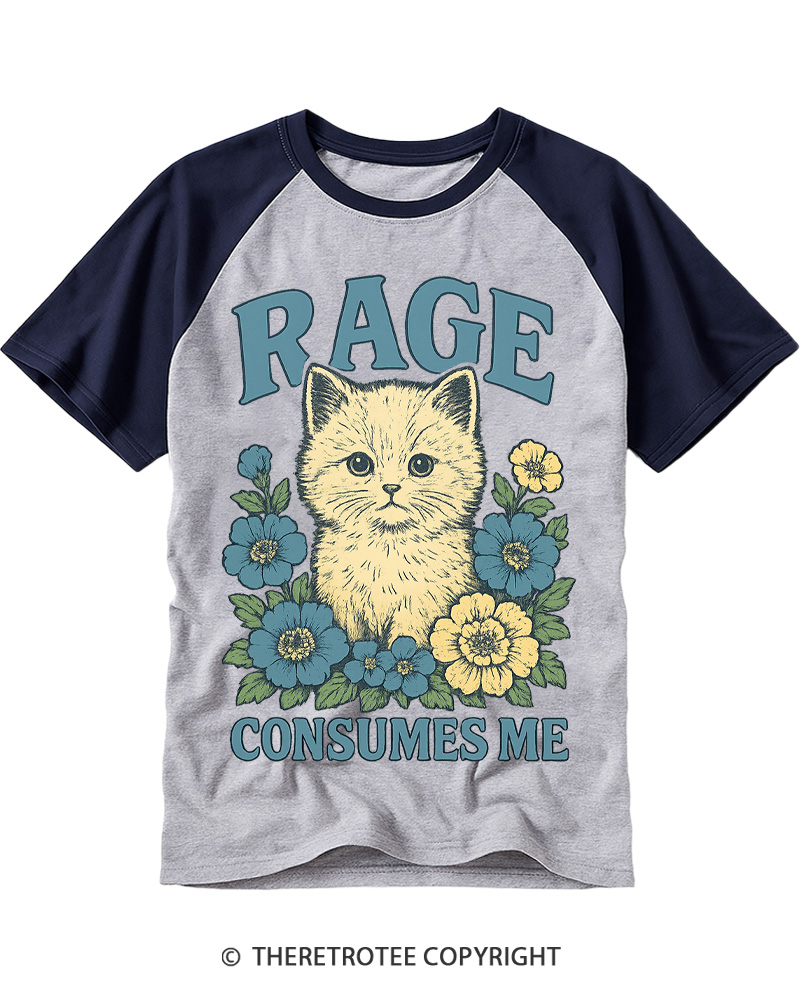 TheRetroTee Cat Meme 1970s Raglan Baseball T-Shirt