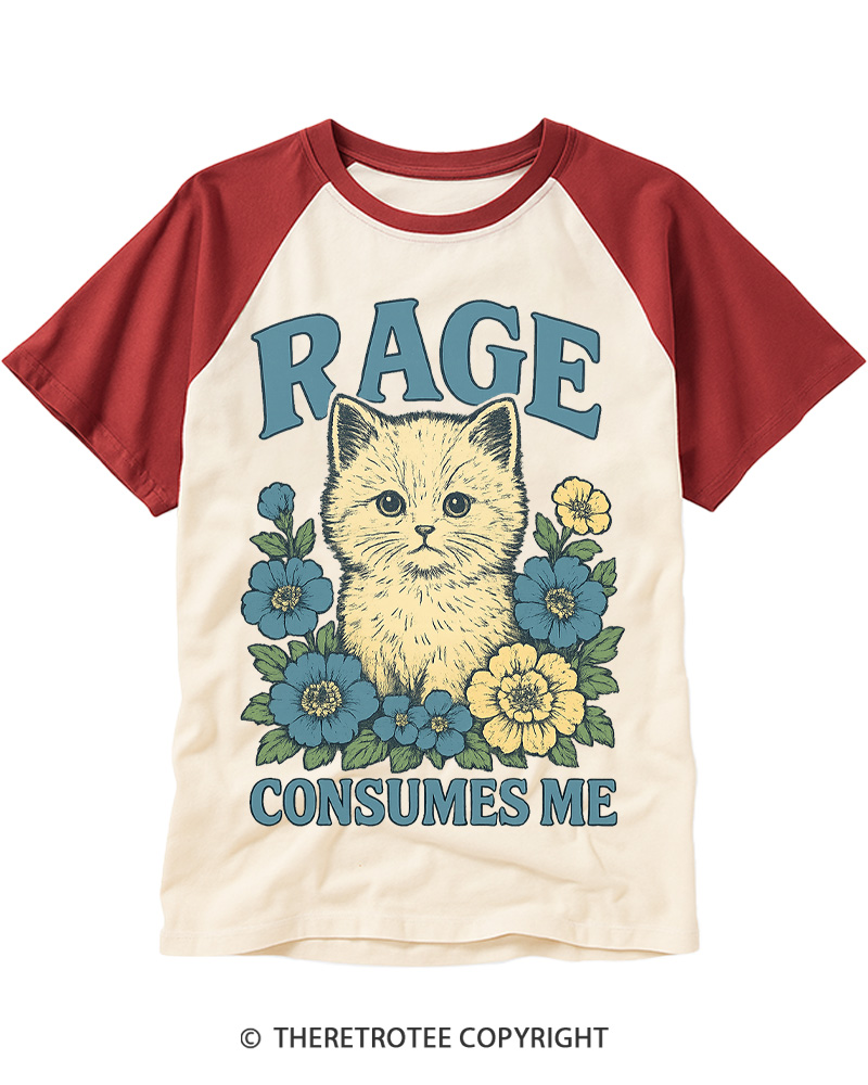 TheRetroTee Cat Meme 1970s Raglan Baseball T-Shirt