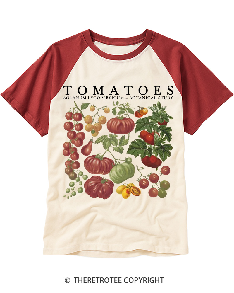 TheRetroTee Tomatoes 1890s Raglan Baseball T-Shirt
