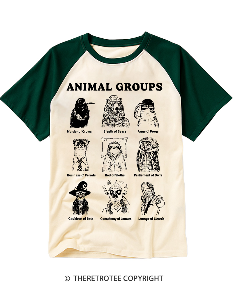 TheRetroTee Animal Friends Vintage Graphic Raglan Baseball T-Shirt