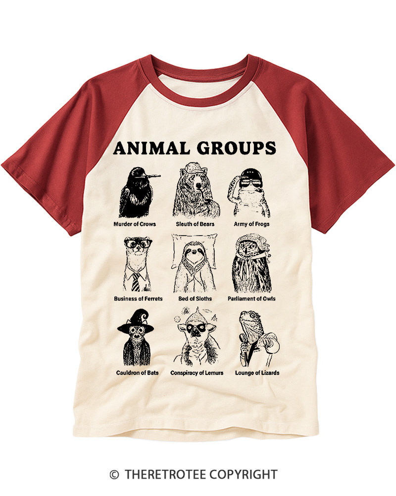 TheRetroTee Animal Friends Vintage Graphic Raglan Baseball T-Shirt