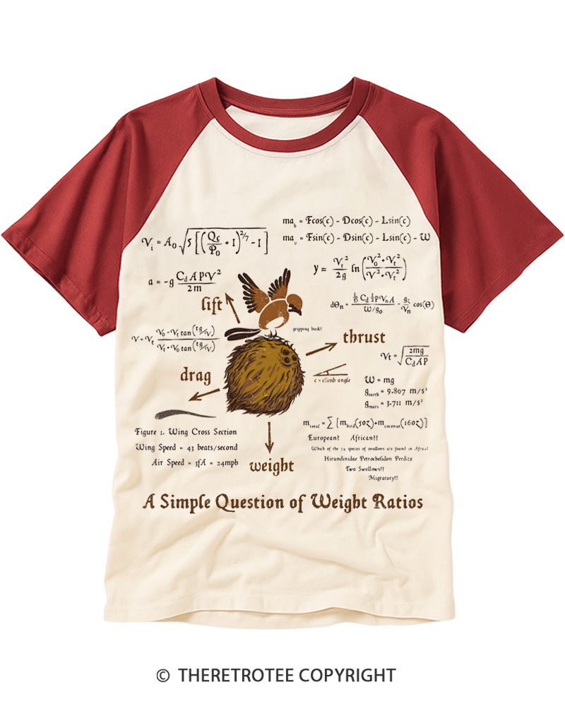 TheRetroTee A Simple Answer 1970s Raglan Baseball T-Shirt