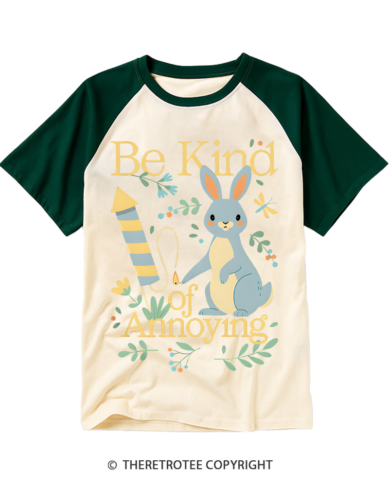 TheRetroTee Be Kind of Annoying Raglan Baseball T-Shirt