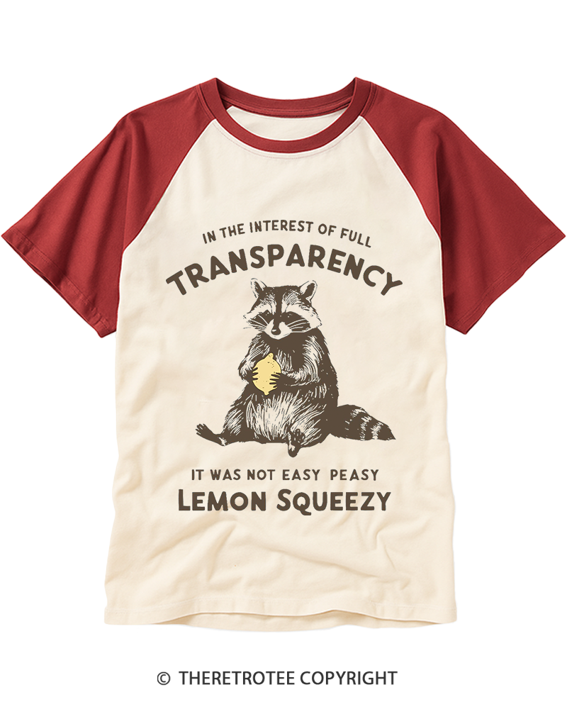 TheRetroTee It Was Not Easy Peasy Lemon Squeezy Raccoon 1970s Raglan Baseball T-Shirt