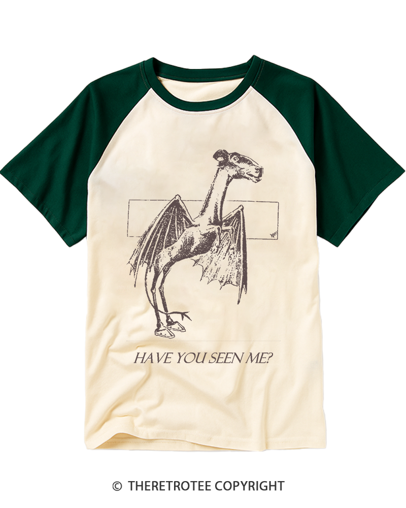TheRetroTee Have You Seen Me Raglan Baseball T-Shirt