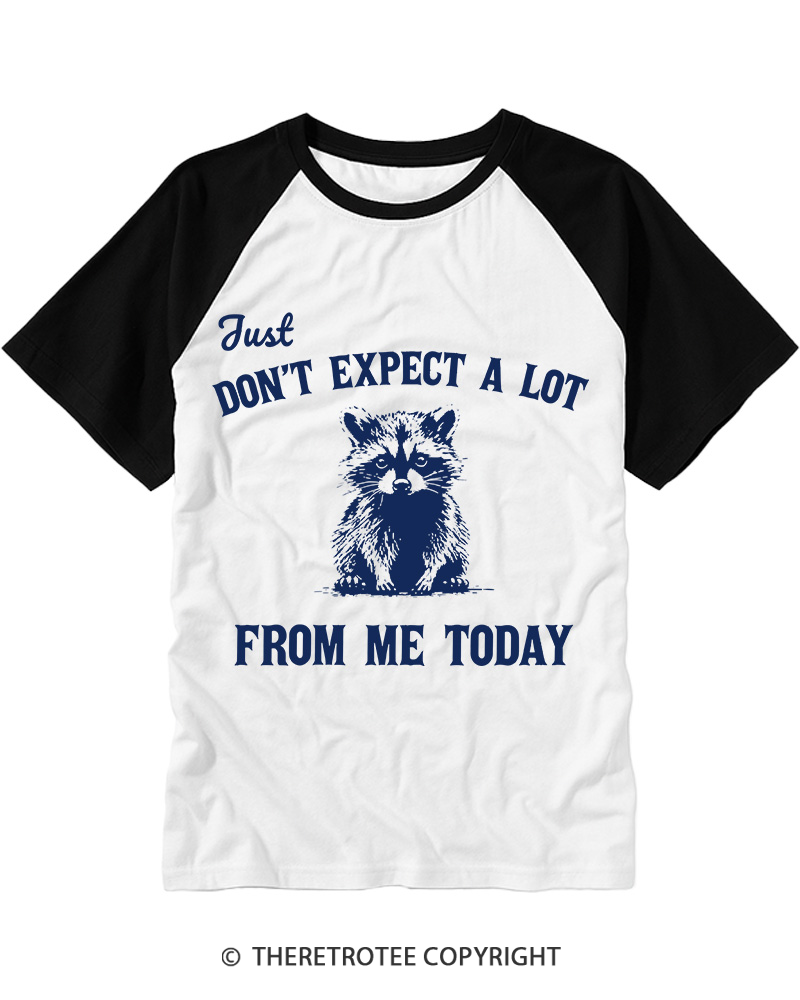TheRetroTee Don't Expect A Lot From Me Today Raglan Baseball T-Shirt