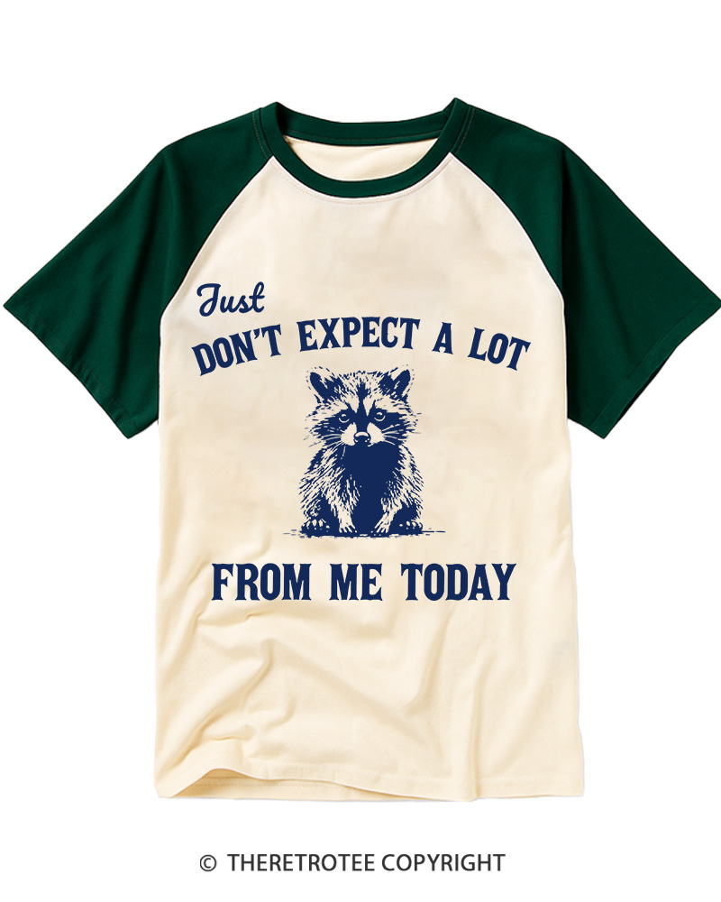 TheRetroTee Don't Expect A Lot From Me Today Raglan Baseball T-Shirt