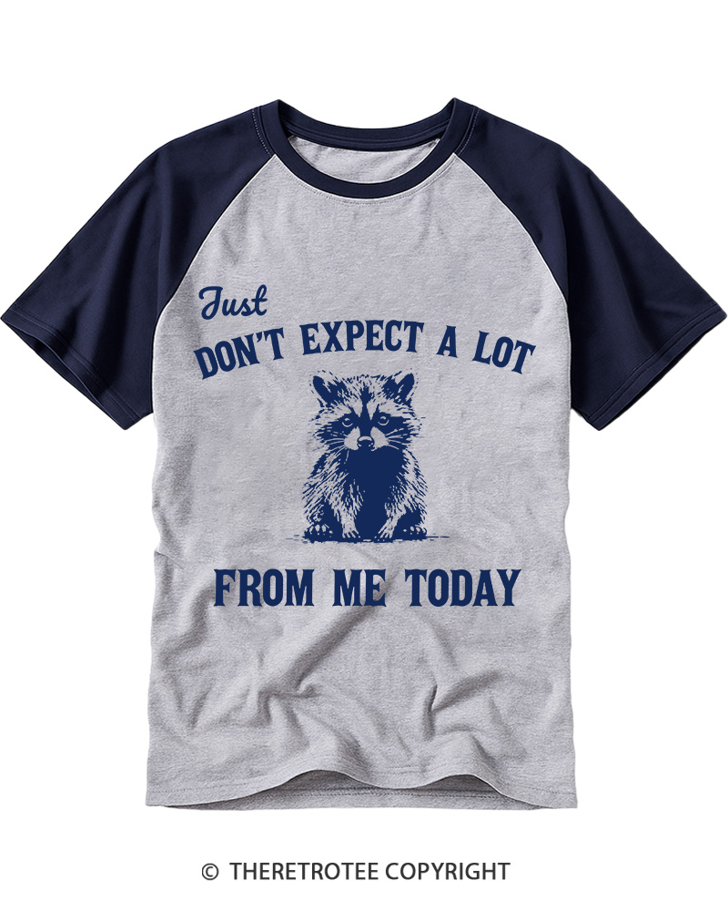 TheRetroTee Don't Expect A Lot From Me Today Raglan Baseball T-Shirt