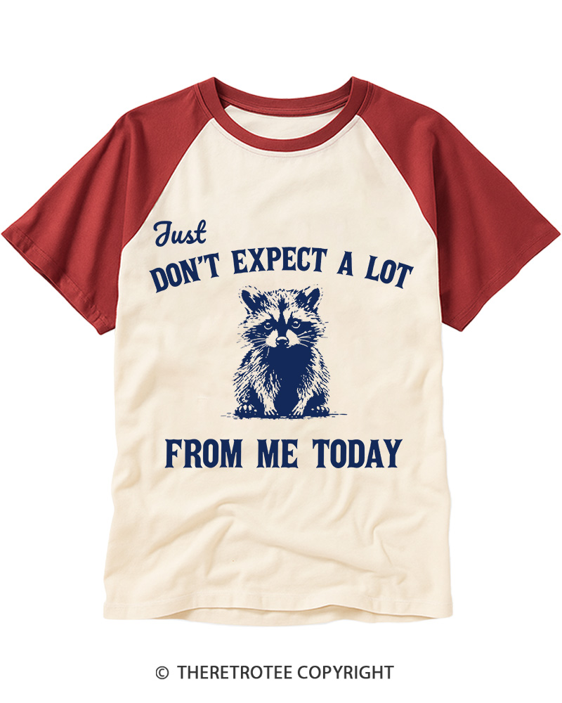 TheRetroTee Don't Expect A Lot From Me Today Raglan Baseball T-Shirt