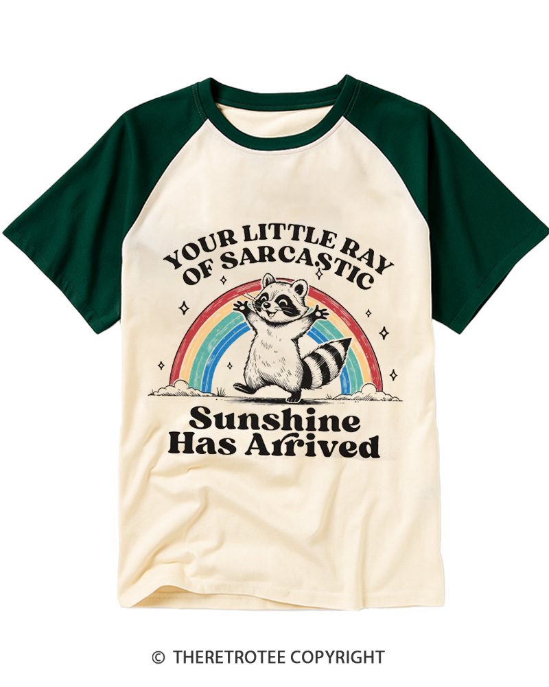 TheRetroTee Little Ray of Sarcastic Sunshine Raglan Baseball T-Shirt