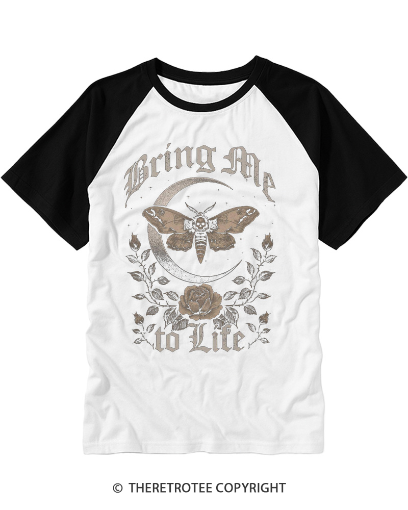 TheRetroTee Moth 1990s Raglan Baseball T-Shirt