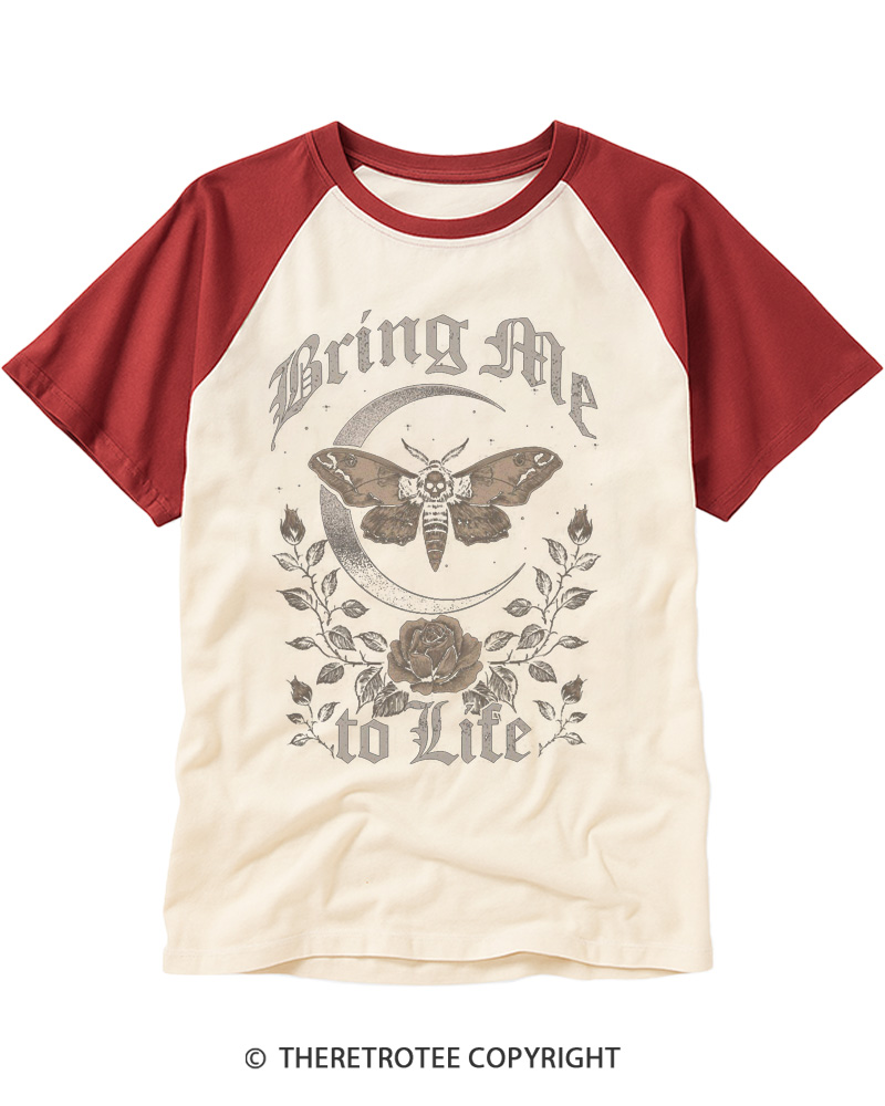 TheRetroTee Moth 1990s Raglan Baseball T-Shirt