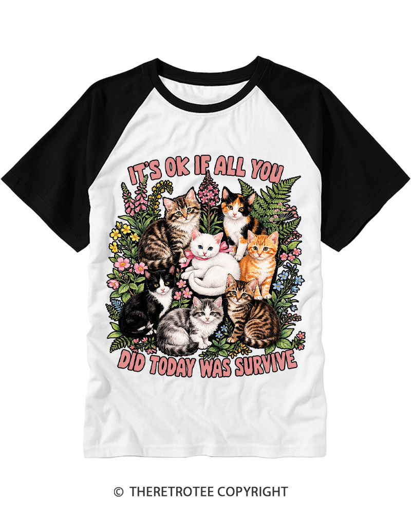 TheRetroTee It’s Ok If All You Did Today Was Survive 1950s Raglan Baseball T-Shirt