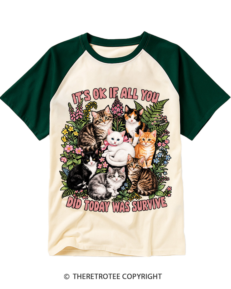 TheRetroTee It’s Ok If All You Did Today Was Survive 1950s Raglan Baseball T-Shirt