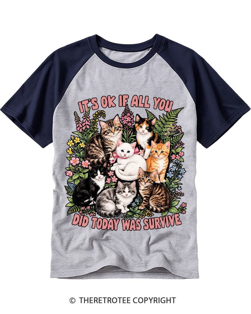 TheRetroTee It’s Ok If All You Did Today Was Survive 1950s Raglan Baseball T-Shirt
