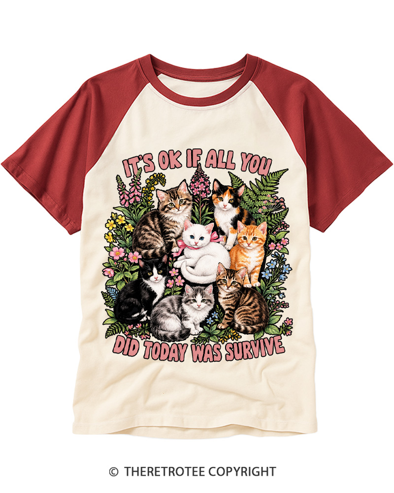 TheRetroTee It’s Ok If All You Did Today Was Survive 1950s Raglan Baseball T-Shirt