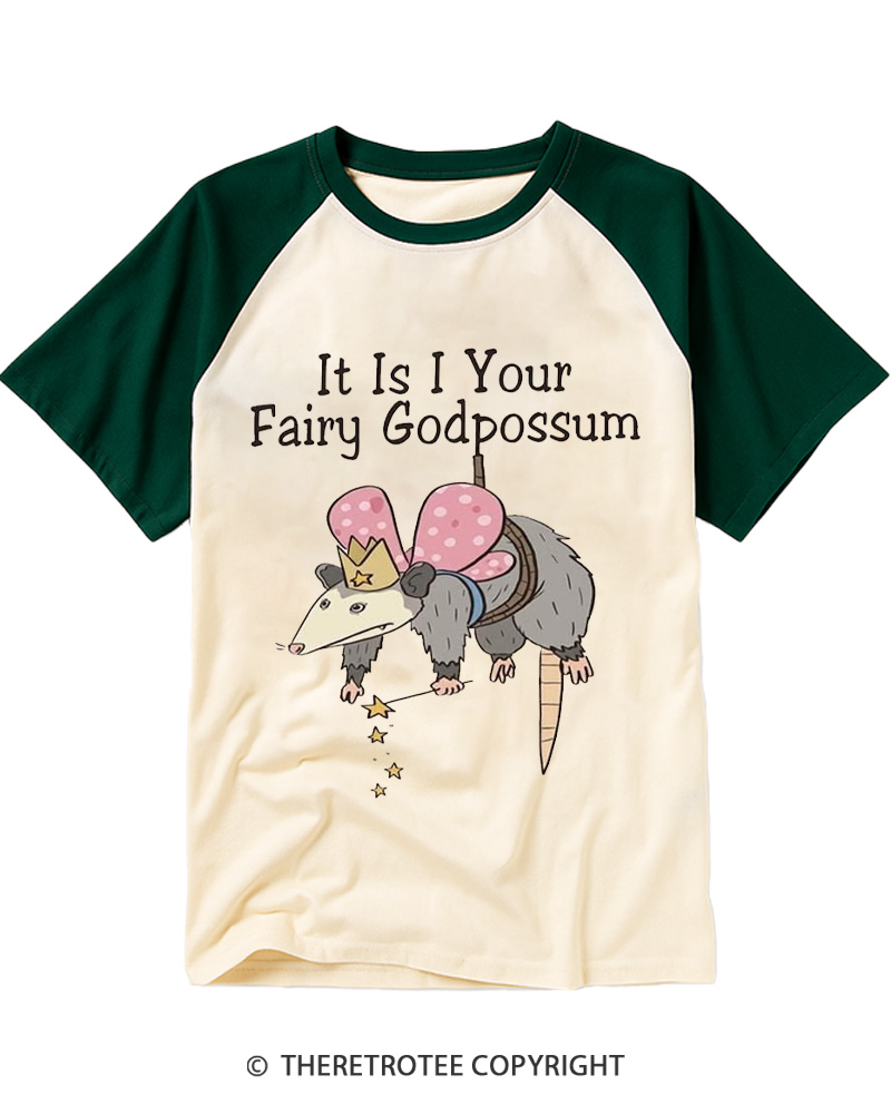 TheRetroTee It Is I Your Fairy Godpossum 1990s Raglan Baseball T-Shirt