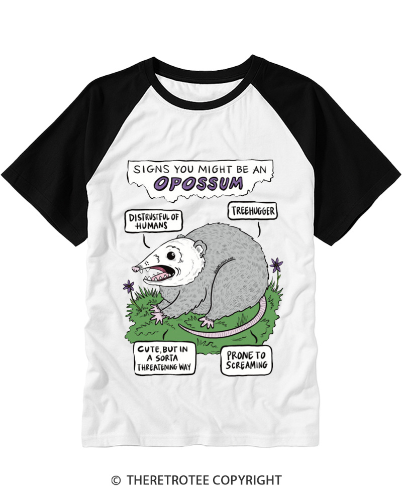 TheRetroTee Vintage Funny Opossum Personality Chart Raglan Baseball T-Shirt