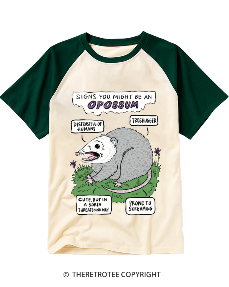TheRetroTee Vintage Funny Opossum Personality Chart Raglan Baseball T-Shirt