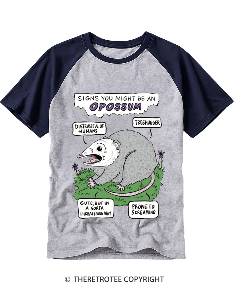 TheRetroTee Vintage Funny Opossum Personality Chart Raglan Baseball T-Shirt