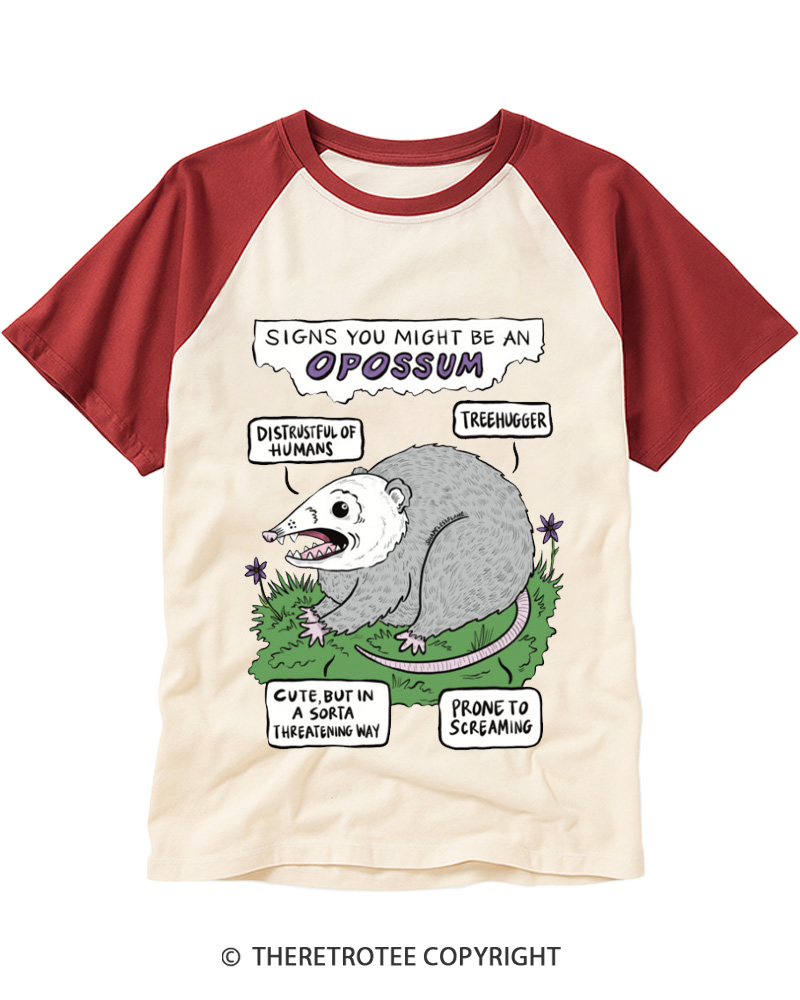 TheRetroTee Vintage Funny Opossum Personality Chart Raglan Baseball T-Shirt