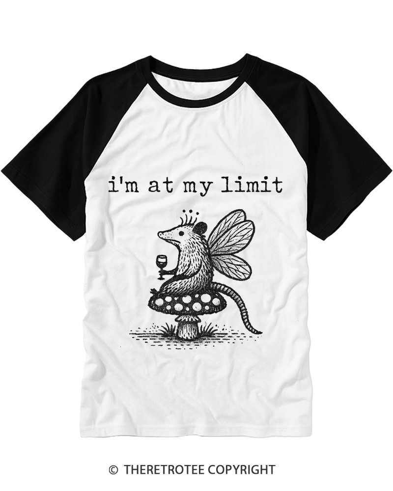 TheRetroTee I’m At My Limit Raglan Baseball T-Shirt