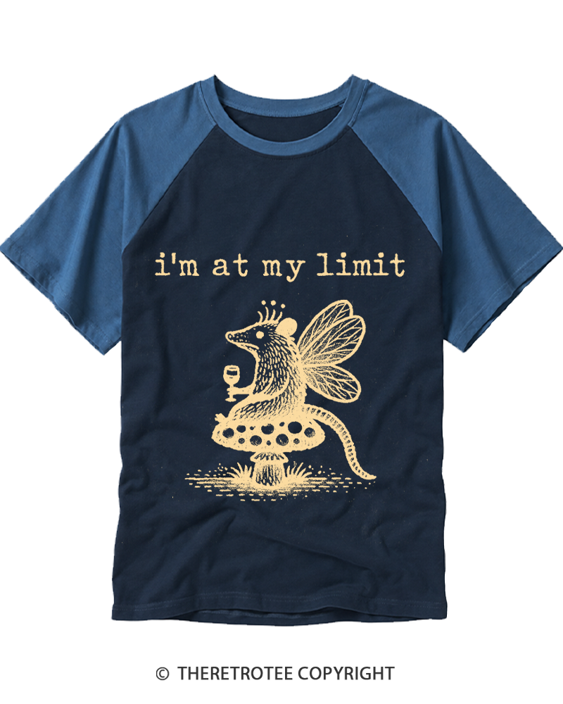 TheRetroTee I’m At My Limit Raglan Baseball T-Shirt
