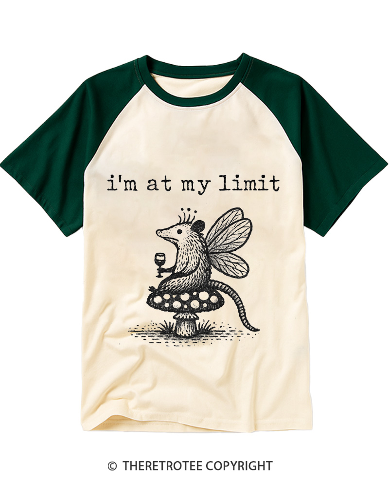 TheRetroTee I’m At My Limit Raglan Baseball T-Shirt