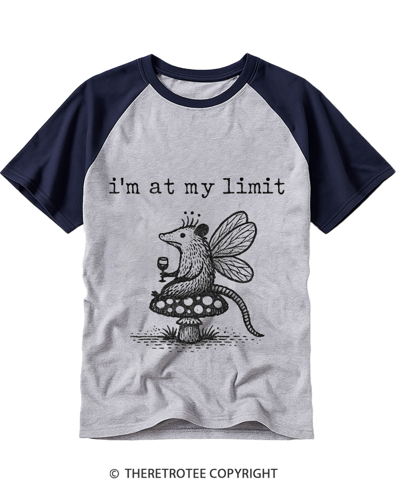 TheRetroTee I’m At My Limit Raglan Baseball T-Shirt