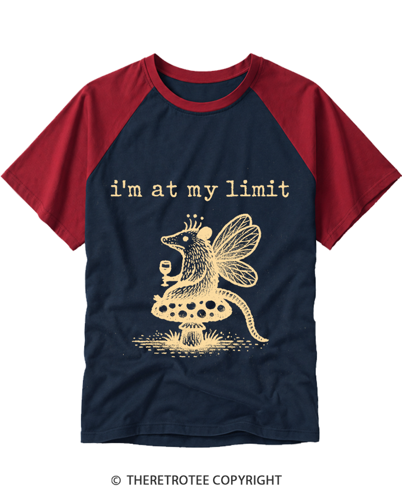 TheRetroTee I’m At My Limit Raglan Baseball T-Shirt