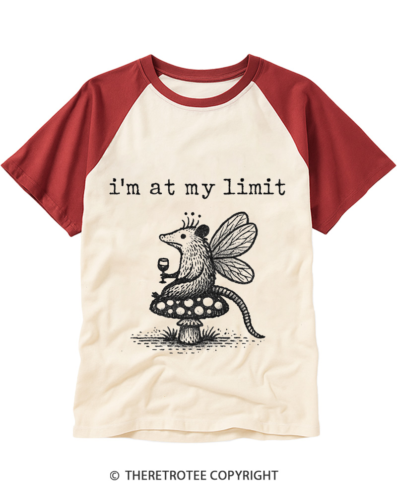 TheRetroTee I’m At My Limit Raglan Baseball T-Shirt