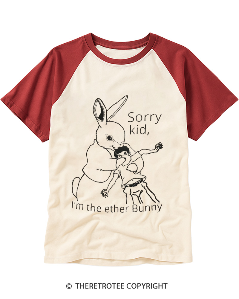 TheRetroTee I’m The Ether Bunny 1990s Raglan Baseball T-Shirt