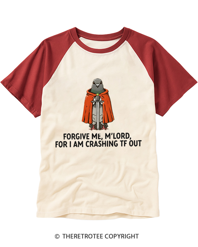 TheRetroTee I Went To The Renaissance Festival 1960s Raglan Baseball T-Shirt