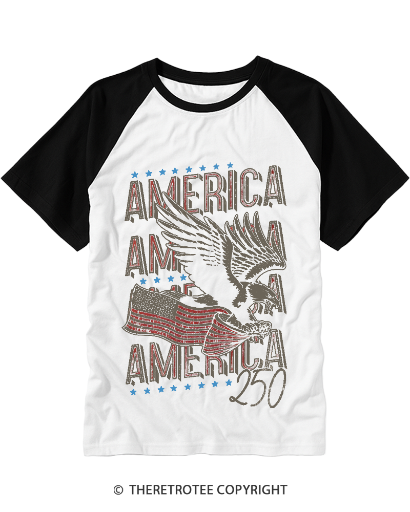 TheRetroTee 250 Years America Raglan Baseball T-Shirt