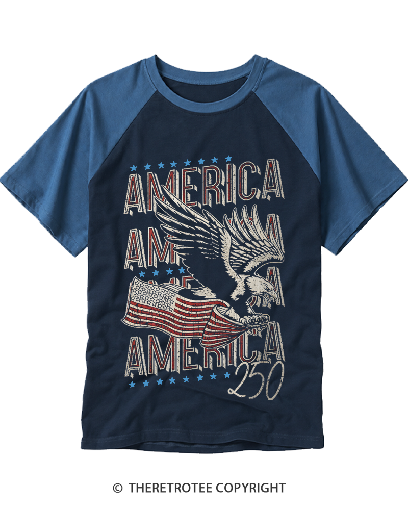 TheRetroTee 250 Years America Raglan Baseball T-Shirt