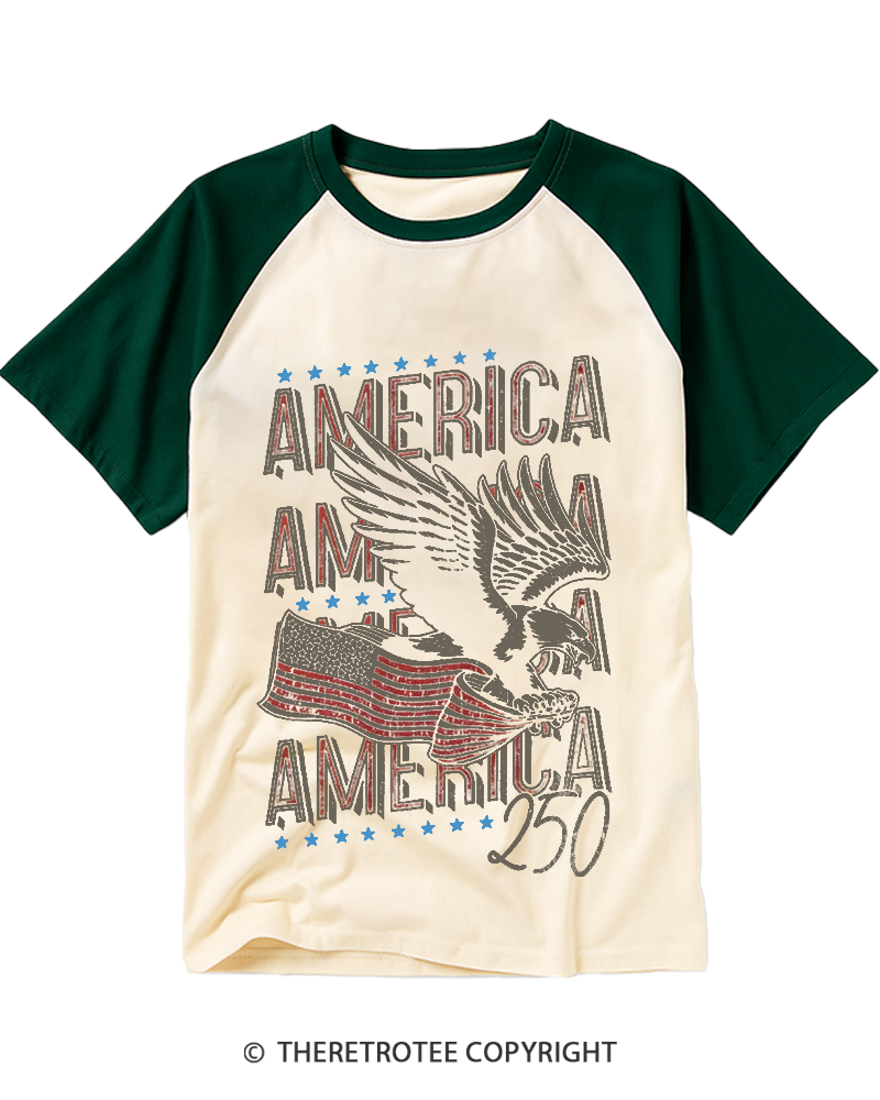 TheRetroTee 250 Years America Raglan Baseball T-Shirt