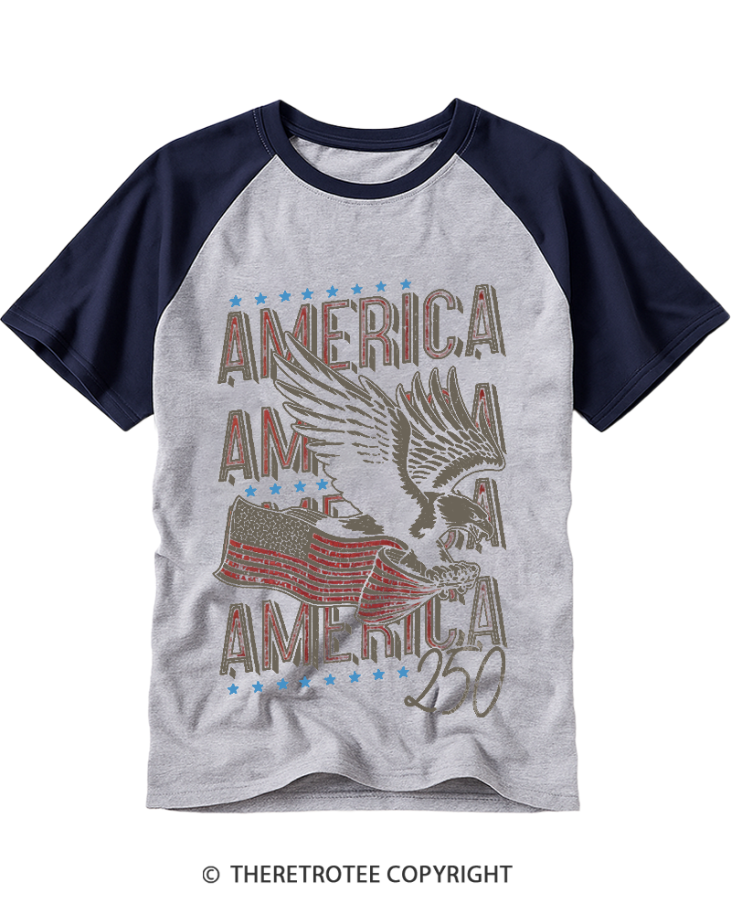 TheRetroTee 250 Years America Raglan Baseball T-Shirt