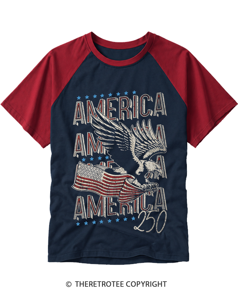 TheRetroTee 250 Years America Raglan Baseball T-Shirt